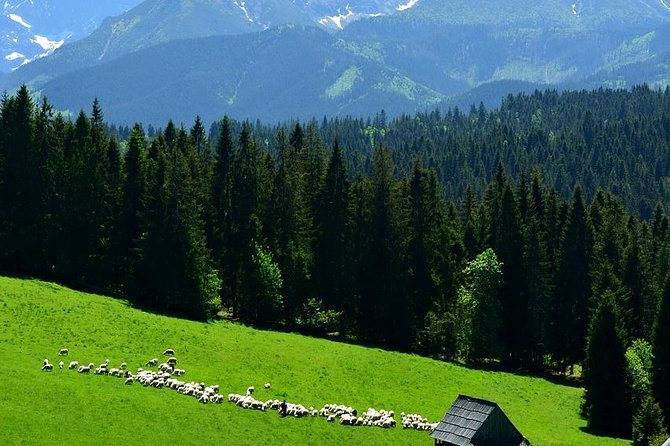 ZAKOPANE & THERMAL SPRINGS, Funicular, Cheese Tasting - From Krakow to the Tatra Mountains in One Long, Good Day