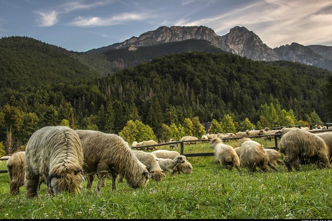 Zakopane & Thermal Springs: Private Tour - Gubałówka Cable Car and the 1,126-Meter View Moment