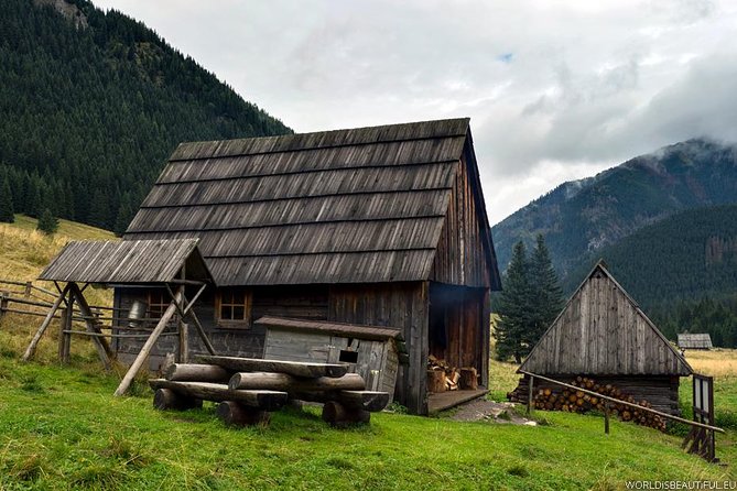 Zakopane & Thermal Springs: Private Tour - Who Should Book This Private Tour (and Who Might Not)