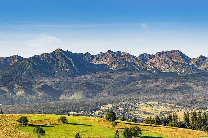 Zakopane Tour from Krakow – Highland Experience & Stunning Views - Oscypek and local alcohol: a taste of the High Tatras