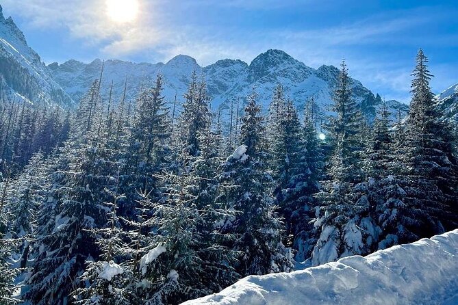 Zakopane Tour from Krakow with Thermal SPA and Hotel Pick up - Stop 4: Zakopane center and Krupowki Street stroll time